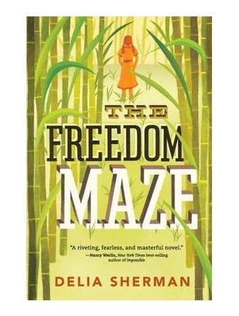The Freedom Maze