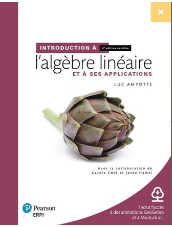 Introduction à l'algèbre linéraire 4e édition, manuel