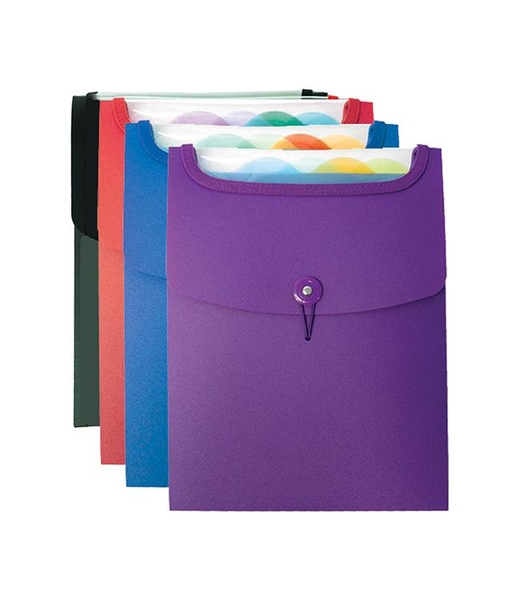 Commandez Classeur 5 pochettes amovibles, format sac à dos, couleur  assortie